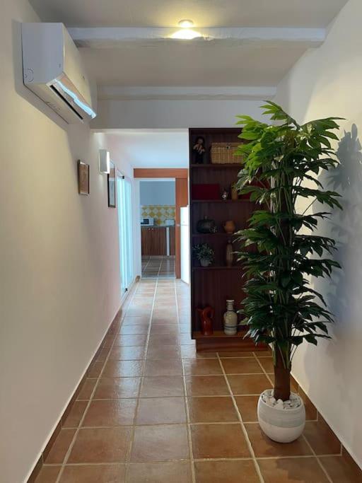 Casa Da Oliveira Villa Mourão Екстериор снимка